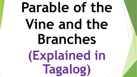 Vine in Tagalog.